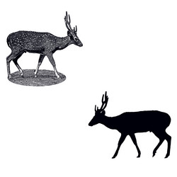 Similar image 10516883