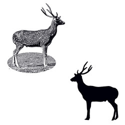 Similar image 10516884