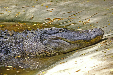 Similar image 10517019