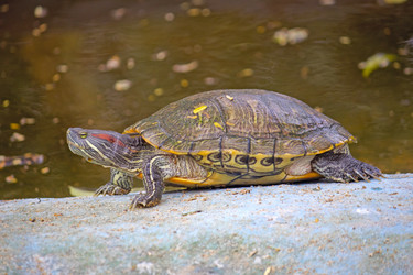 Similar image 10517021