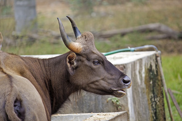 Similar image 10517023