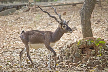 Similar image 10517026