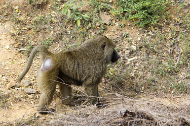 Similar image 10517027