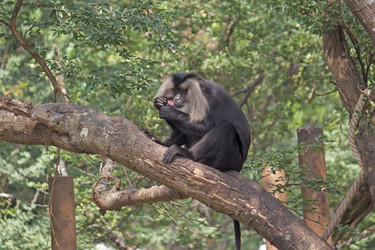 Similar image 10517028