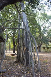 Similar image 10517031