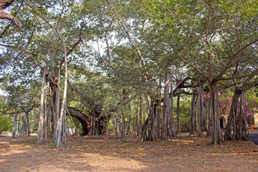 Similar image 10517033