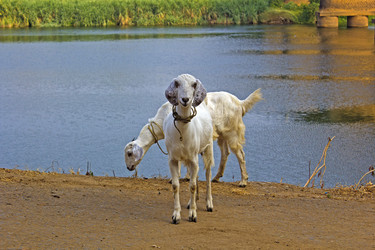 Similar image 10517111