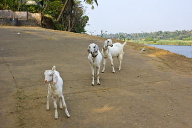 Similar image 10517113