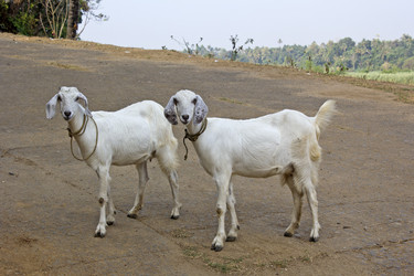 Similar image 10517115