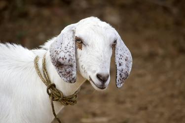 Similar image 10517119