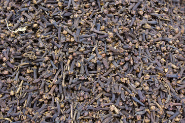 Similar image 10517124