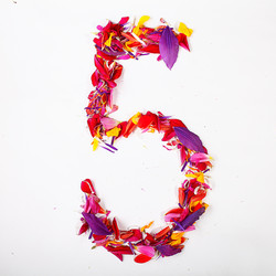 Similar image 10517159