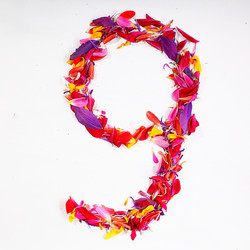 Similar image 10517162