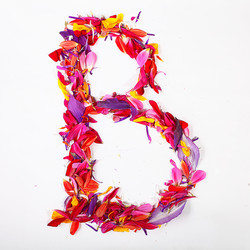 Similar image 10517238