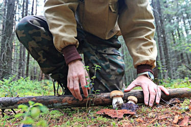 Similar image 10517247