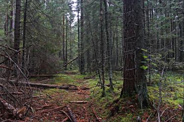 Similar image 10517328