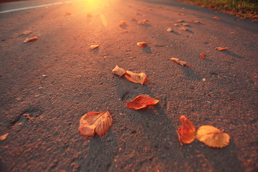 Similar image 10517329