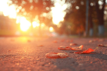 Similar image 10517330