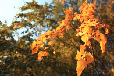 Similar image 10517334