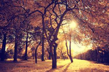 Similar image 10517335