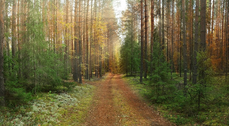 Similar image 10517339