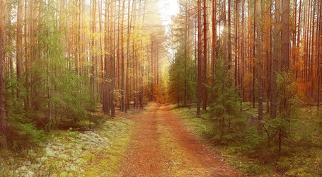 Similar image 10517340