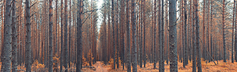 Similar image 10517349