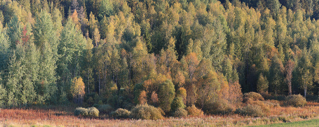 Similar image 10517393