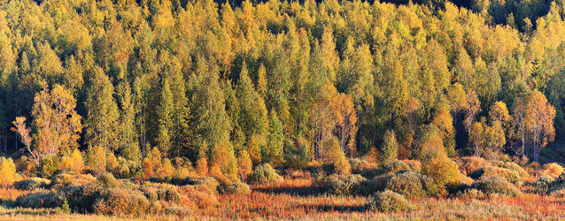 Similar image 10517394