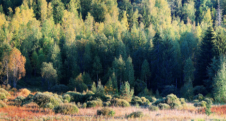 Similar image 10517396