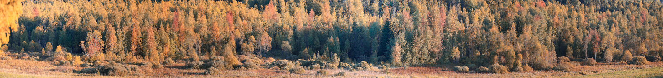 Similar image 10517397