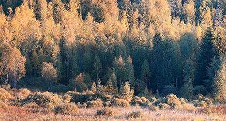 Similar image 10517398