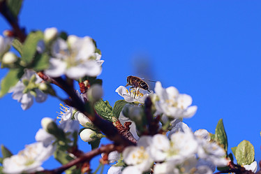 Similar image 10517401