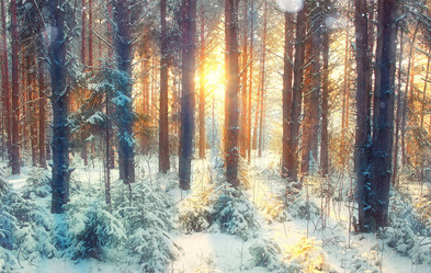 Similar image 10517404