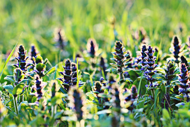 Similar image 10517406