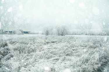 Similar image 10517534