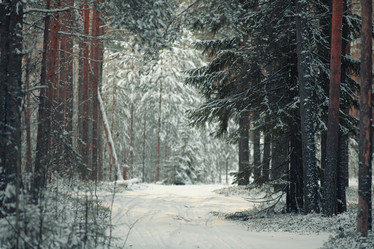 Similar image 10517612