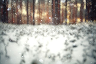 Similar image 10517615