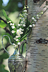 Similar image 10517621