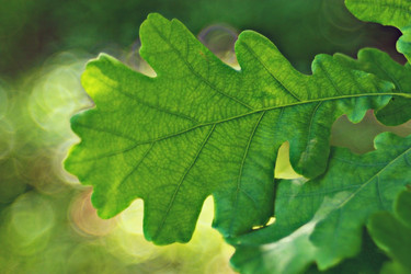 Similar image 10517642