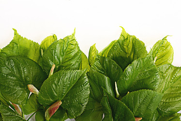 Similar image 10517708