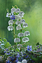 Similar image 10517718