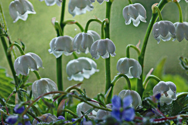 Similar image 10517720