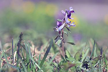 Similar image 10517765