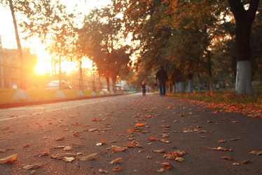 Similar image 10517849