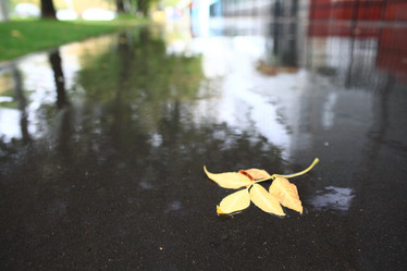 Similar image 10517853