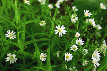 Similar image 10517856