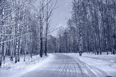 Similar image 10517924