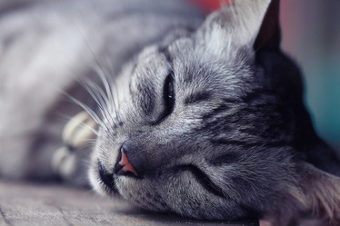 Similar image 10517929