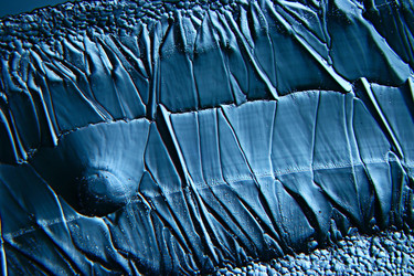 Similar image 10517930